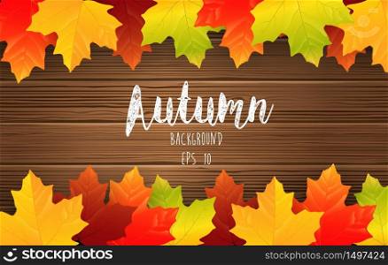 Autumn maples leaves on wooden background.Vector