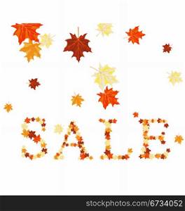 Autumn maples leaves sale word. Vector illustration.