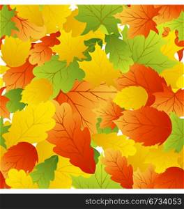 Autumn maples leaves seamless background. Vector illustration.