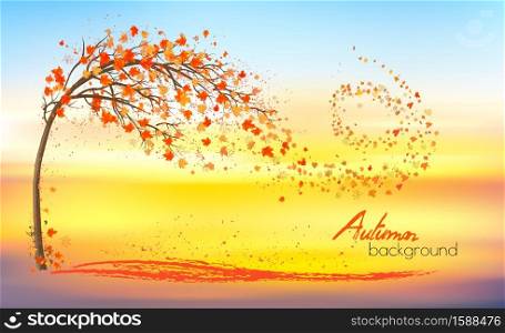 Autumn nature background with a tree and a colorful leaves and sunset. Vector.