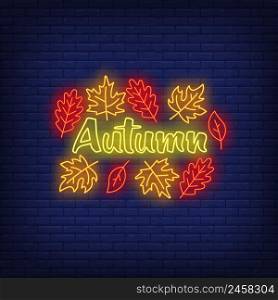 Autumn neon sign. Word, text, fall leaves. Autumn concept. Vector illustration in neon style, glowing element for sale banners, seasonal posters, flyers