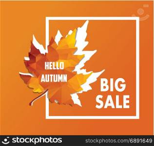 Autumn new season of sales and discounts, deals and offer