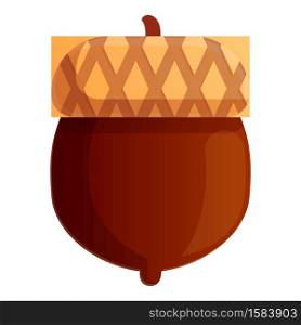 Autumn nut icon. Cartoon of autumn nut vector icon for web design isolated on white background. Autumn nut icon, cartoon style