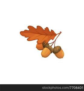 Autumn oak acorn with dry leaves vector icon. Cartoon fallen foliage, dry tree seed, branch and leaf of brown color, design element, isolated object on white background, sign. Autumn oak acorn with dry leaves vector icon, sign