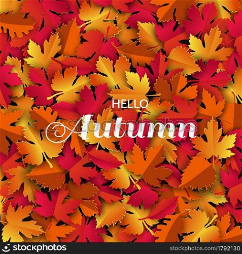 Autumn or fall background with colorful leaves for shopping promotion,poster,leaflet or web banner,vector illustration