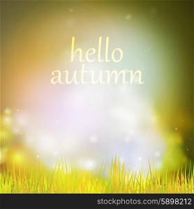 Autumn or summer abstract nature background with grass and sky in the back. Autumn or summer abstract nature background