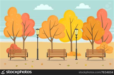 Autumn park with foliage on road and colorful woods. Cold weather and cloudy sky, nobody bench with lamps in urban place. Leisure on wooden seat near trees with falling leaves on meadow vector. Bench and Trees, Autumn Season in Park Vector