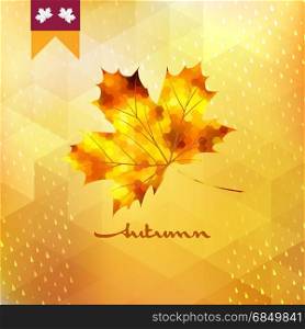Autumn pattern with leaf. And also includes EPS 10 vector