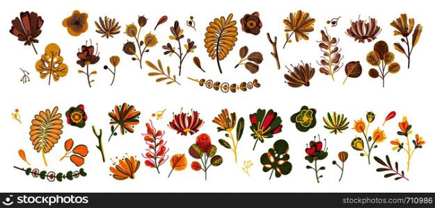 Autumn plant set. Forest cute abstract leaves and cereal in garden ecological flat october flowers botanical vector concept. Autumn plant set. Forest cute abstract leaves and cereal in garden ecological flat flowers botanical vector concept