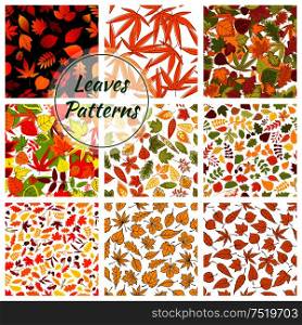 Autumn plants and trees leaves. Seamless patterns of bright and colorful foliage elements. Vector pattern of small and large birch, oak, maple, brown, elm leaf on white and black background. Autumn plants and trees leaves. Seamless patterns