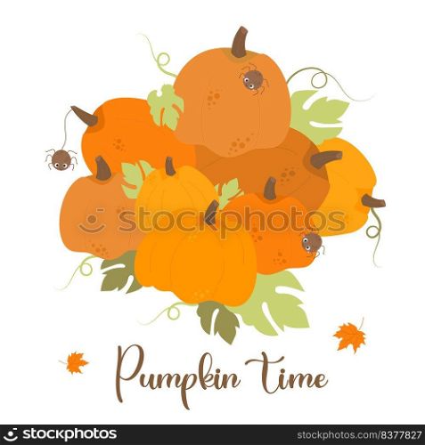 Autumn poster with big harvest orange pumpkins and cute spiders. Vector illustration with fall vegetables. Pumpkin time. Autumn festive card for print, design, greeting cards, decor, booklet