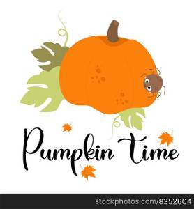 Autumn poster with orange pumpkin and cute spider. Vector illustration with fall vegetable and slogan - Pumpkin time on white background. Festive card for print, design, greeting cards, decor, booklet