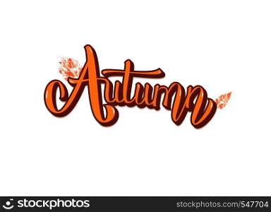 Autumn quote isolated. Handwritten lettering with decoration. Element for season design. Vector illustration.