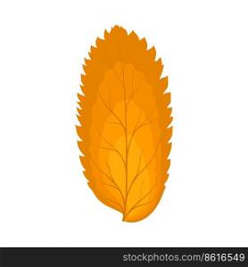 Autumn Rowan≤af. Leaf fall. Vector illustration.
