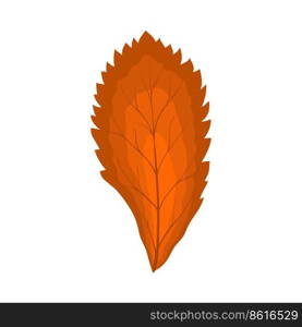 Autumn Rowan leaf. Leaf fall. Vector illustration.