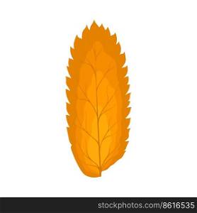 Autumn Rowan leaf. Leaf fall. Vector illustration.