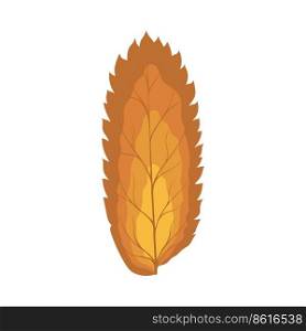 Autumn Rowan leaf. Leaf fall. Vector illustration.