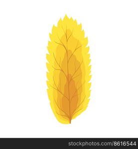 Autumn Rowan leaf. Leaf fall. Vector illustration.