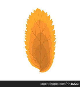 Autumn Rowan leaf. Leaf fall. Vector illustration.