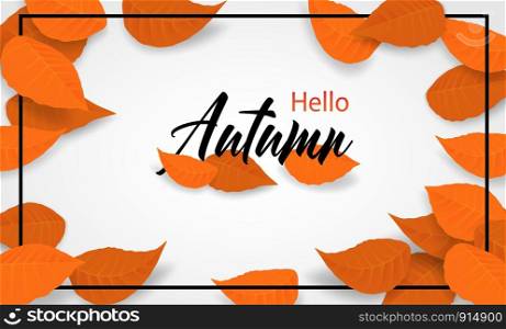 Autumn sale background. design with autumn leaves on white background. Vector.