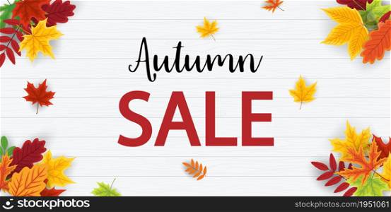 Autumn sale background. Frame with fall leaves. Promotion banner with offer. Card for autumn discount. Thanksgiving flyer. Special advertising offer and poster. Vector.. Autumn sale background. Frame with fall leaves. Promotion banner with offer. Card for autumn discount. Thanksgiving flyer. Special advertising offer and poster. Vector