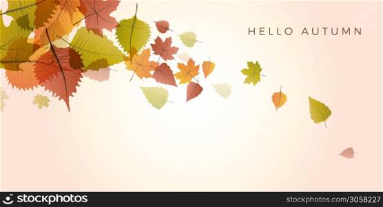 Autumn sale background, layout decorate with leaves of autumn. Poster and frame leaflet or web banner. Vector template.