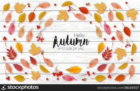 Autumn sale background with colorful forest leaves and a red berries the shape of a round. Vector.