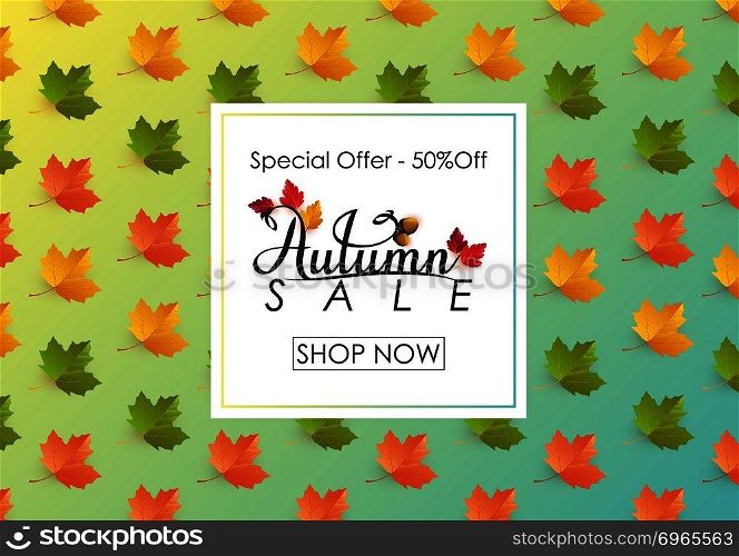Autumn sale background with leaves