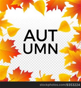 Autumn sale background with maple leaves. Fall sale discount season vector poster illustration.. Autumn sale background with maple leaves. Fall sale discount season vector poster illustration