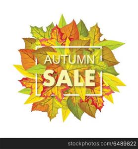 Autumn Sale Banner. Fall Background. Foliage. Autumn sale banner. Fall sale background. Foliage isolated. Autumn sale tag element. Special offer. Season promotion, offer advertising, retail shopping. Discount price poster. Vector illustration
