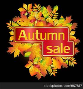 Autumn sale. Banner in framed from autumn leaves of maple, oak, chestnut, etc. Postcard, background.