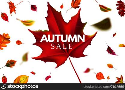 Autumn sale banner. Season sales template with falling leaves, fallen leaf discount and autumnal flyer. Seasonal autumns foliage promotion special price label background vector illustration. Autumn sale banner. Season sales template with falling leaves, fallen leaf discount and autumnal flyer background vector illustration