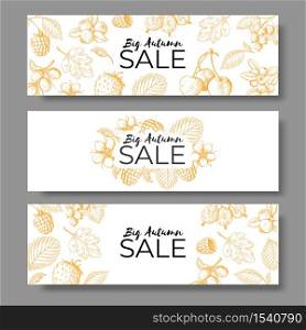 Autumn sale banner set. Voucher, offer or coupon with hand drawn leaves and berry. Vector image horizontal leaflets with natural backgrounds. Autumn sale banner set. Voucher, offer or coupon with hand drawn leaves and berry
