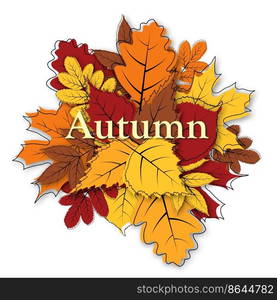 Autumn sale banner template decorate with maple, linden, ash-tree, rowan, birch, oak leaves in warm color tone for shopping sale or promotion poster and web banner. Vector illustration.