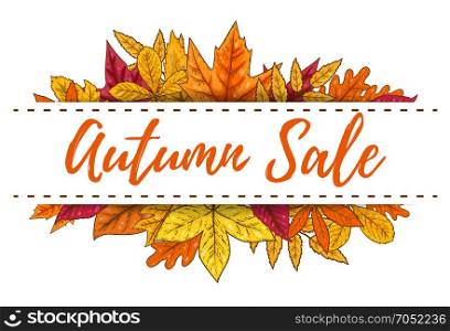 Autumn sale banner template with yellow leaves. Design elements for poster, emblem, banner. Vector illustration