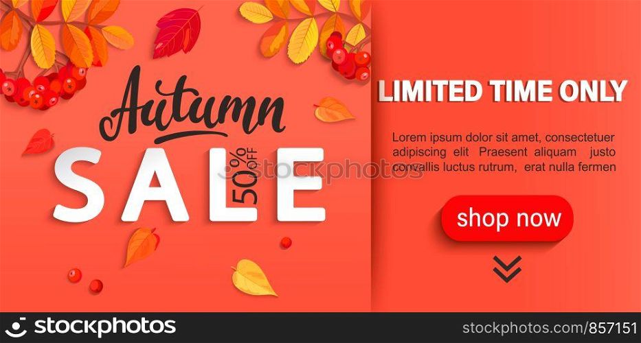 Autumn sale banner with place for text, limited time discounts. Fall leaves, rowan berries for seasonal shopping promotion, web, flyers. Template for cards, advertise. Vector illustration.. Autumn sale banner, limited time discounts.