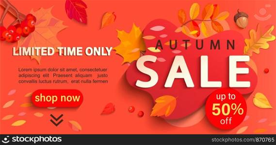 Autumn sale banner with place for text, only limited time discounts. Fall leaves, rowan berries, acorns for seasonal shopping promotion, web, flyers. Template for cards, advertise.Vector illustration.. Autumn sale banner, only limited time discounts.