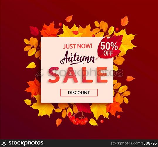 Autumn sale banner with square frame and colorful fall leaves, rowan berries, acorns for seasonal shopping promotion,web. Template for discount cards, flyers, posters, advertise. Vector illustration.. Autumn sale banner with square frame, fall leaves.