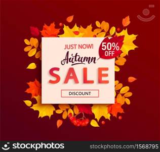 Autumn sale banner with square frame and colorful fall leaves, rowan berries, acorns for seasonal shopping promotion,web. Template for discount cards, flyers, posters, advertise. Vector illustration.. Autumn sale banner with square frame, fall leaves.