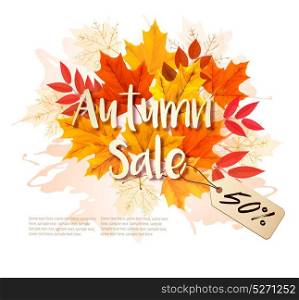 Autumn Sale Card With Colorful Leaves. Vector.