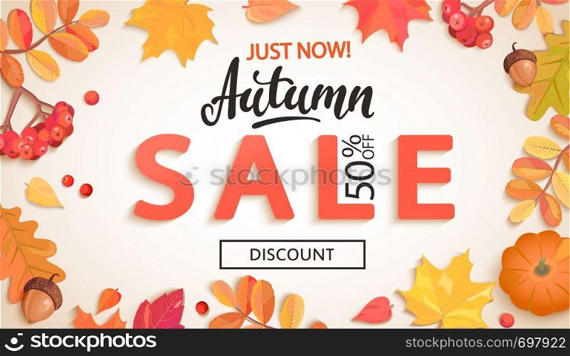 Autumn sale, just now banner with discount in frame of colorful autumn leaves, rowan berries, acorns, pumpkin for fall season shopping promotion,web. Template for advertise. Vector illustration.. Autumn sale, just now banner with discount.