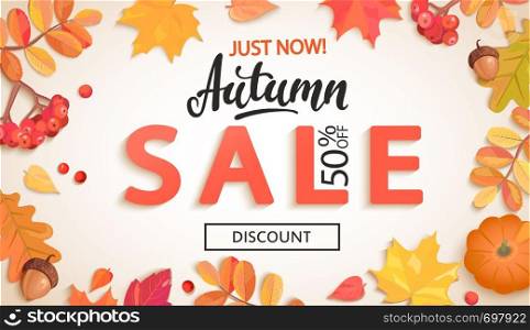 Autumn sale, just now banner with discount in frame of colorful autumn leaves, rowan berries, acorns, pumpkin for fall season shopping promotion,web. Template for advertise. Vector illustration.. Autumn sale, just now banner with discount.