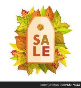 Autumn sale tag label template. Fall Pricetag. Autumn sale tag label template. Fall sale, autumn leaves, autumn background, discount tag price, season promotion, offer advertising. Foliage isolated. Autumn sale tag element. Vector illustration