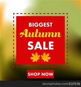 Autumn sale yellow fall leaves background. Colorful foliage nature element banner vector. Business retail abstract decoration space. Color poster blank template design. September offer red discount