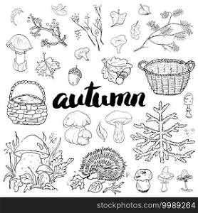 Autumn season set. Hand drawn doodles and lettering vector illustration. Autumn season set. Hand drawn doodles and lettering vector illustration.