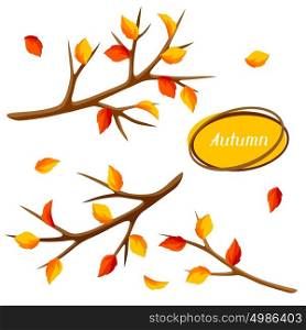 Autumn set with branches of tree and yellow leaves. Seasonal illustration. Autumn set with branches of tree and yellow leaves. Seasonal illustration.