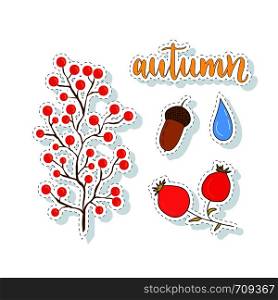 Autumn stickers set with berries and acorn. Vector collection for design decorations. Autumn stickers set with berries and acorn. Vector collection for design decorations.