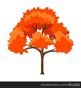 Autumn stylized tree. Natural abstract decorative illustration.. Autumn stylized tree.