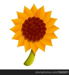 Autumn sunflower icon. Cartoon of autumn sunflower vector icon for web design isolated on white background. Autumn sunflower icon, cartoon style