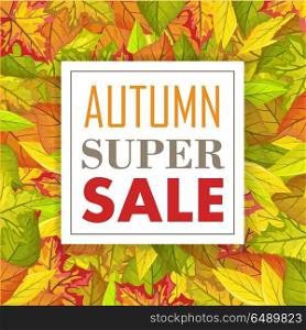 Autumn Super Sale Banner. Fall Background. Vector. Autumn super sale banner. Fall sale background. Autumn super sale written on the foliage leaves. Special offer. Season promotion, offer advertising. Discount price poster. Vector illustration